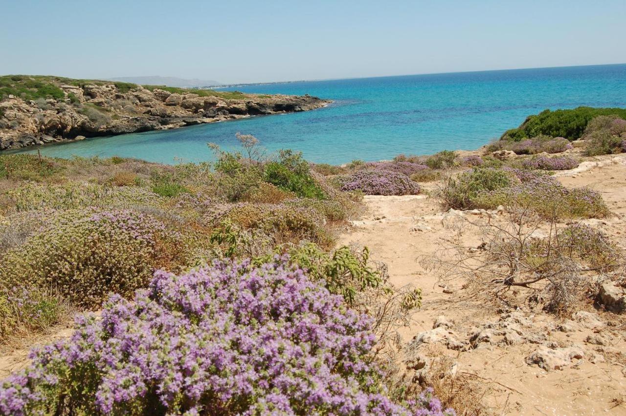 Cicirata Sea Beach - Sicilia Vacanza 阿沃拉 外观 照片